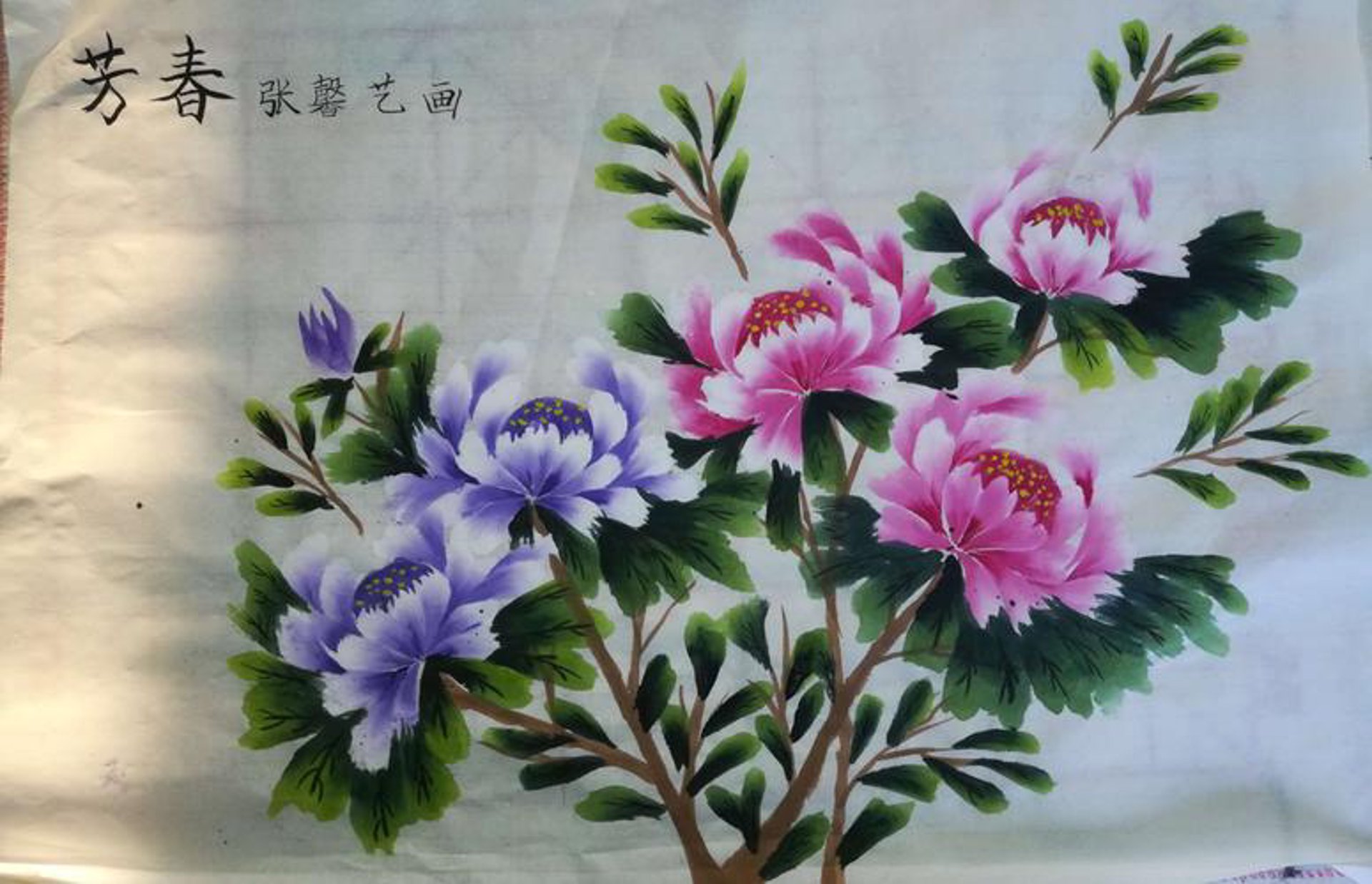 凤凰艺苑教育